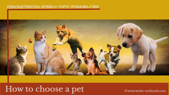 Image: cats, dogs and butterflies. Text: Demonstrations speech topic possibilities - how to choose a pet.