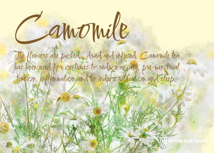 Image: chamomile daisy plants. Text: Chamomile tea has been used for centuries to aid relaxation.
