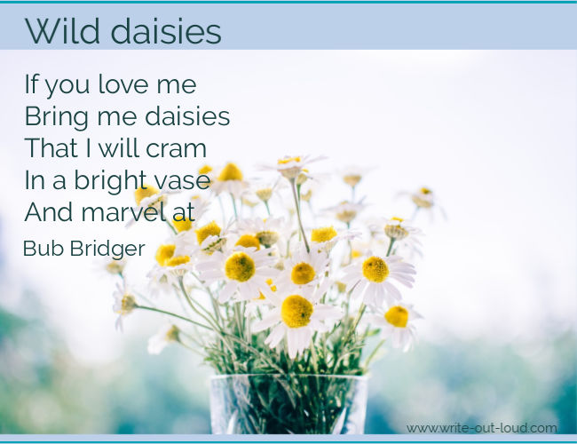 Graphic: wild daisies in a glass jar. Text - the last segment of Bub Bridger's poem - Wild Daisies.